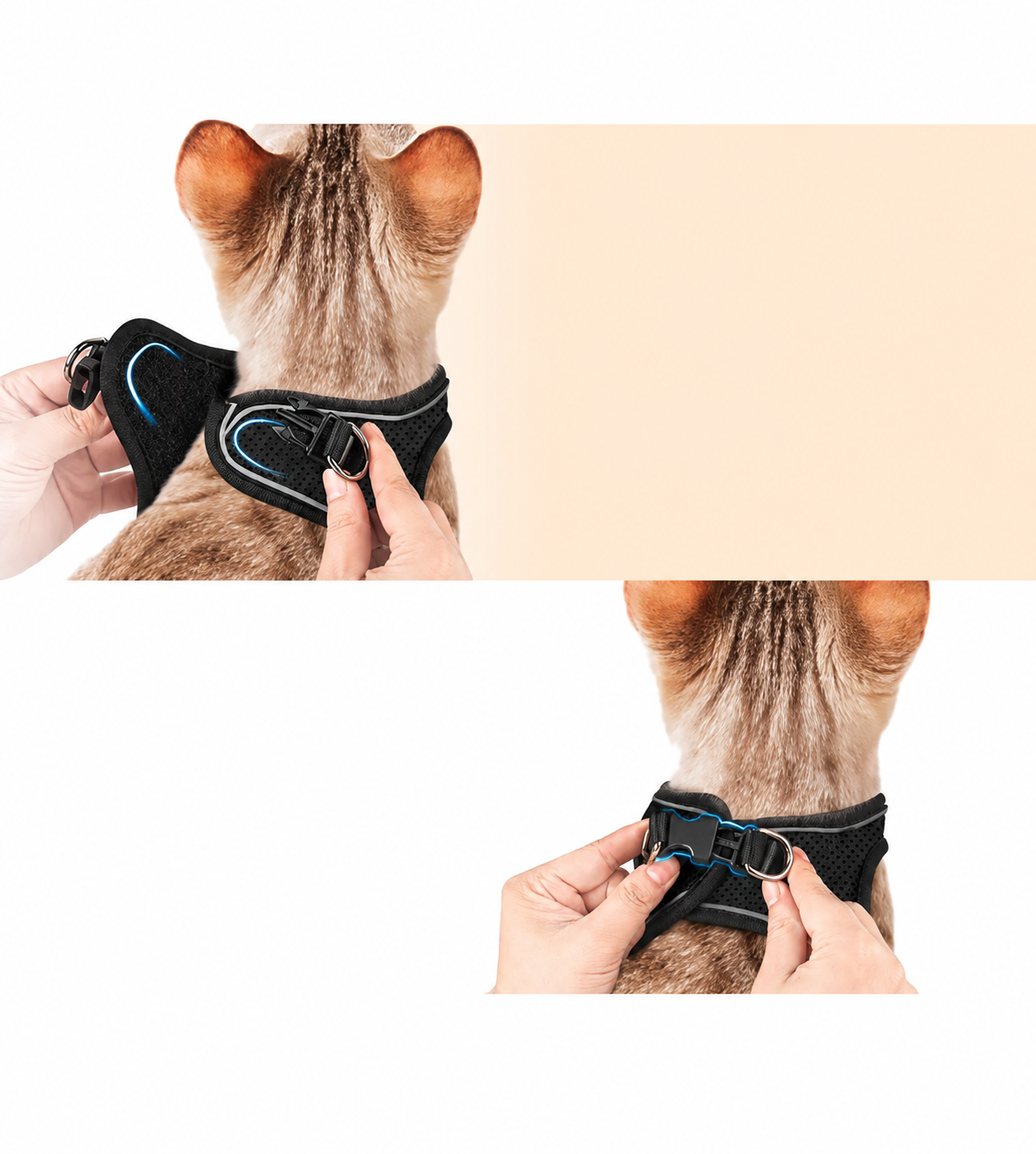 Root™ - Pettorina gatto