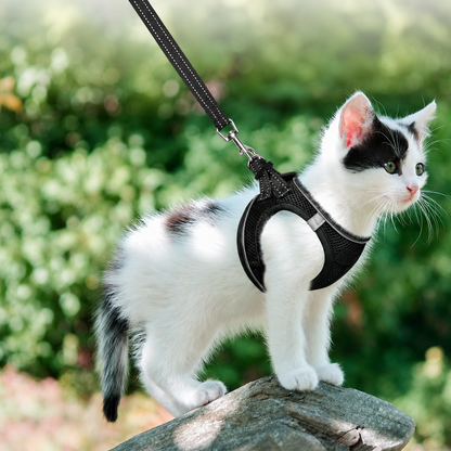 Root™ - Pettorina gatto