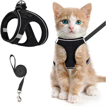 Root™ - Pettorina gatto